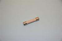 20 AMP Fuse Image 