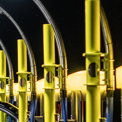 Round Dual Arch Yellow